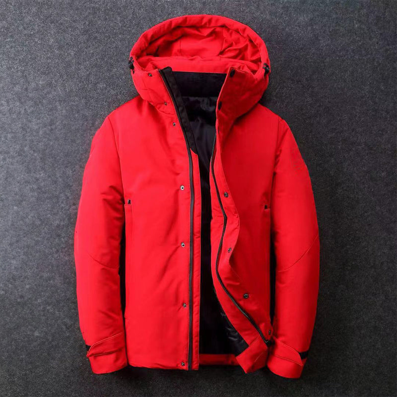 Women's Down Insulated Puffer Jacket